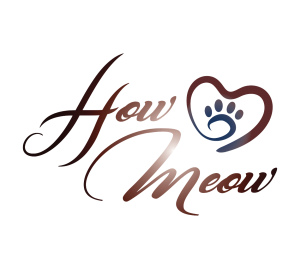 HowMeow logosu